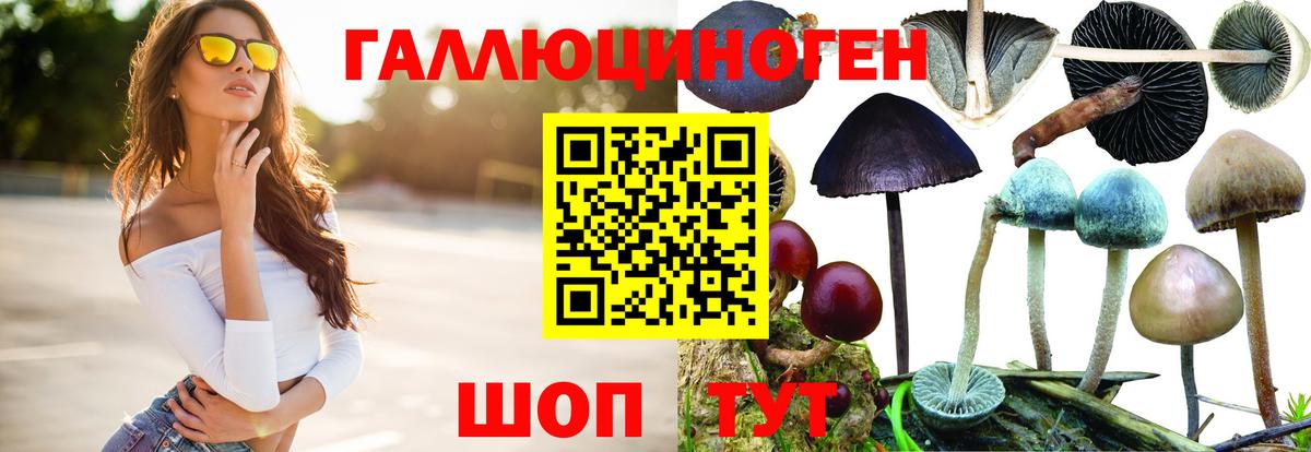 Галлюциногенные грибы GOLDEN TEACHER  Галлюциногенные грибы MAGIC MUSHROOMS  Нефтекамск  Вход с VPN 